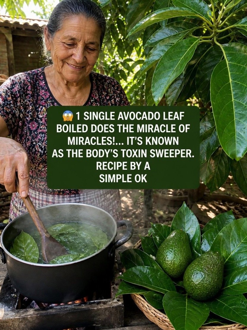 The Hidden Superpower You're Missing: Why Avocado Leaves Are the Unexpected Key to Your Wellness!