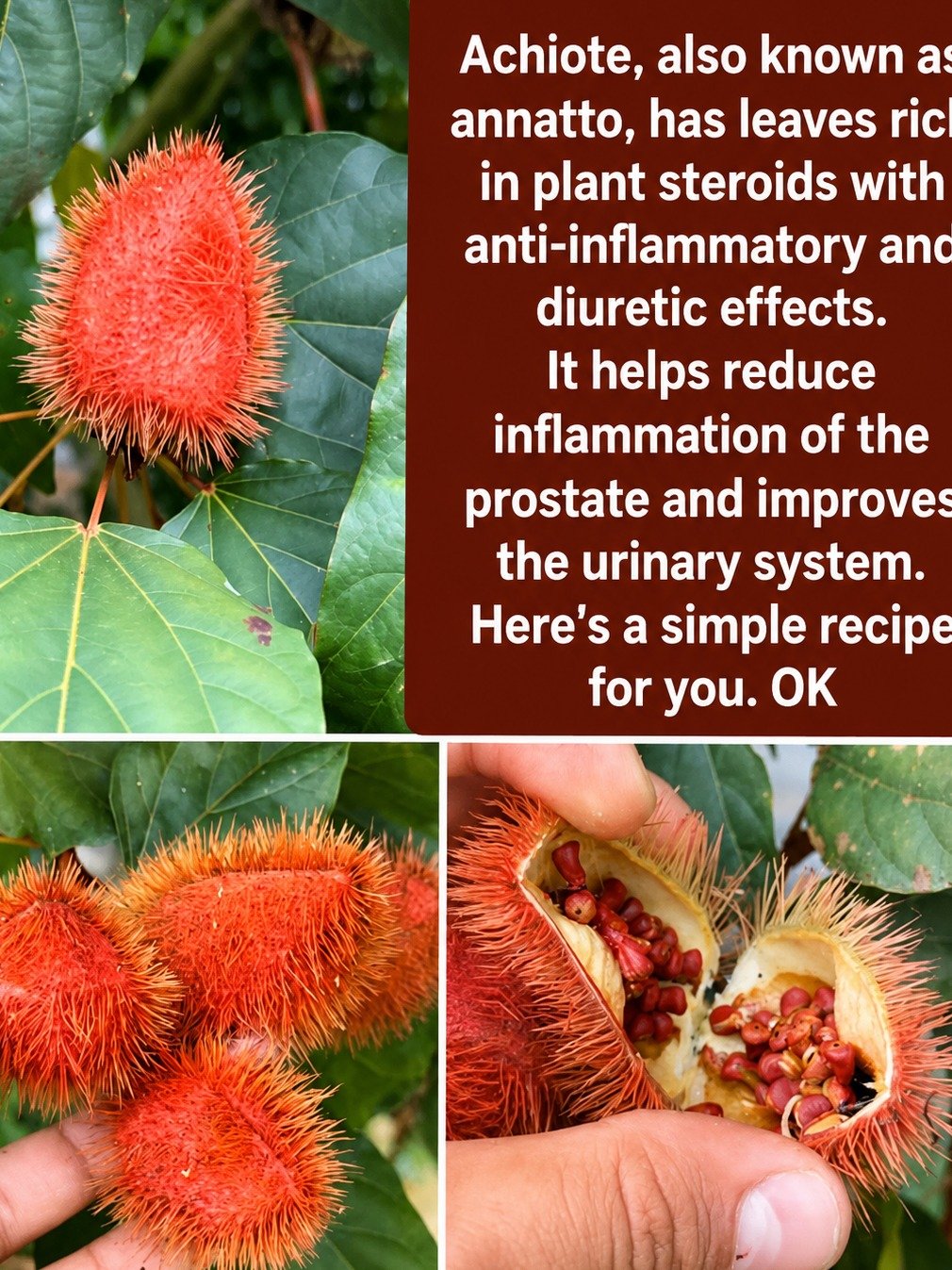 Men, Don't Miss Out: The Ancient Secret to Soothing Prostate Inflammation Naturally!