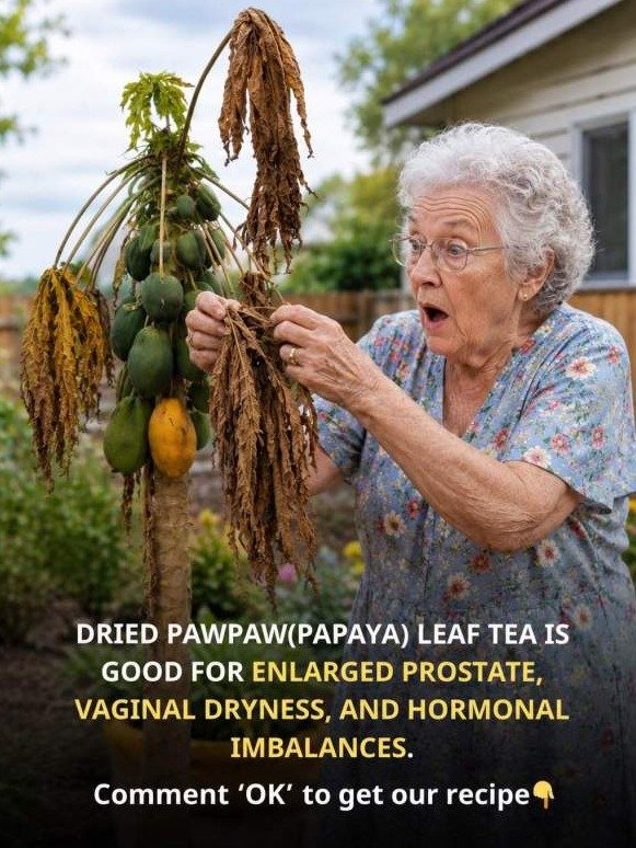 The Shocking Truth: This Bitter Leaf Unlocks a Full-Body Reset for Your Prostate, Hormones & Intimate Health