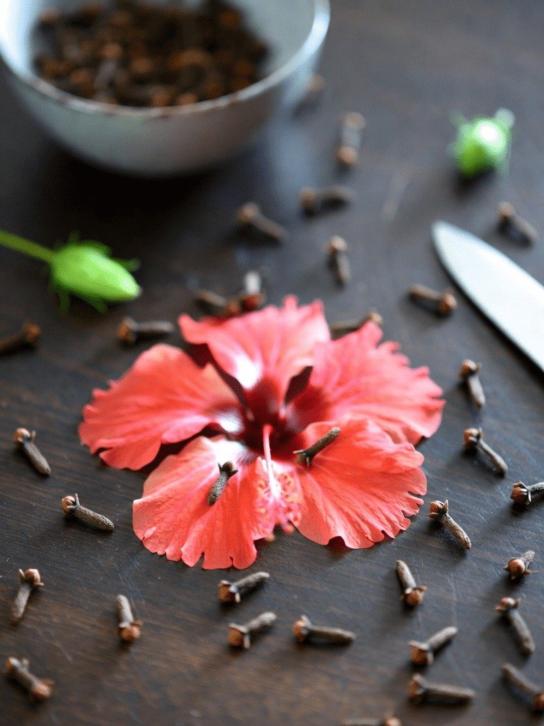 Unlock Ancient Secrets: This Hibiscus & Clove Combo Could REVOLUTIONIZE Your Daily Wellness (Don't Miss the Surprise!)