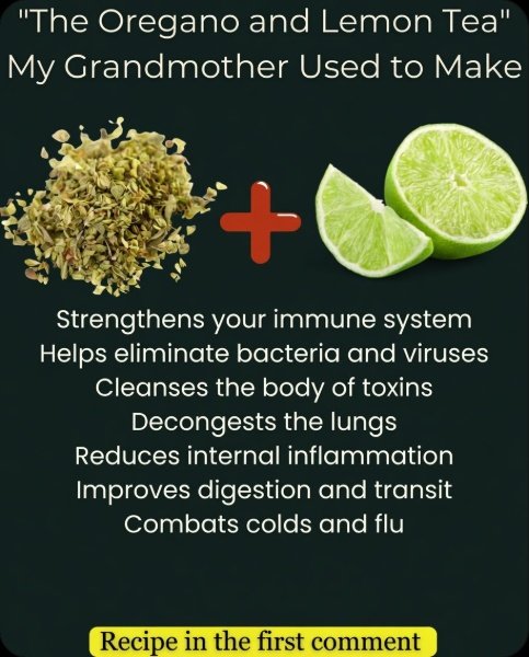 The Ancient Secret to Unstoppable Immunity: This Oregano & Lemon Duo Will Transform Your Health (Recipes Inside!)