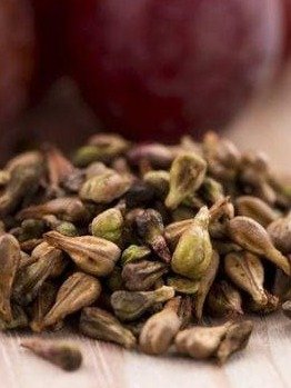 STOP Throwing Them Away! Unlocking the 6 Shocking Health Secrets of Grape Seeds You NEED to Know