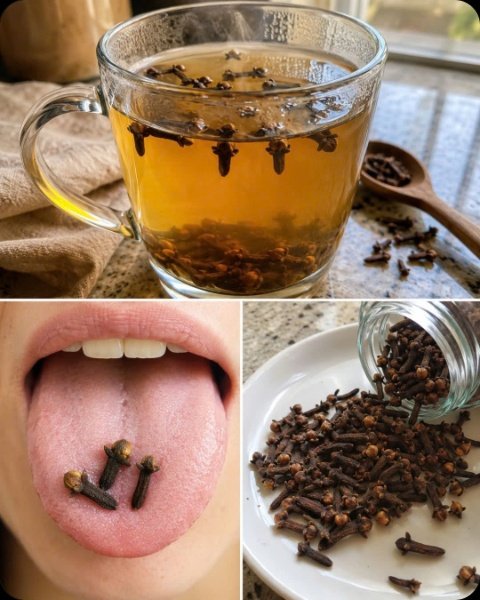 The Ancient Secret You're Missing: How Just 1 Glass of Clove Water Daily Can Revolutionize Your Health!