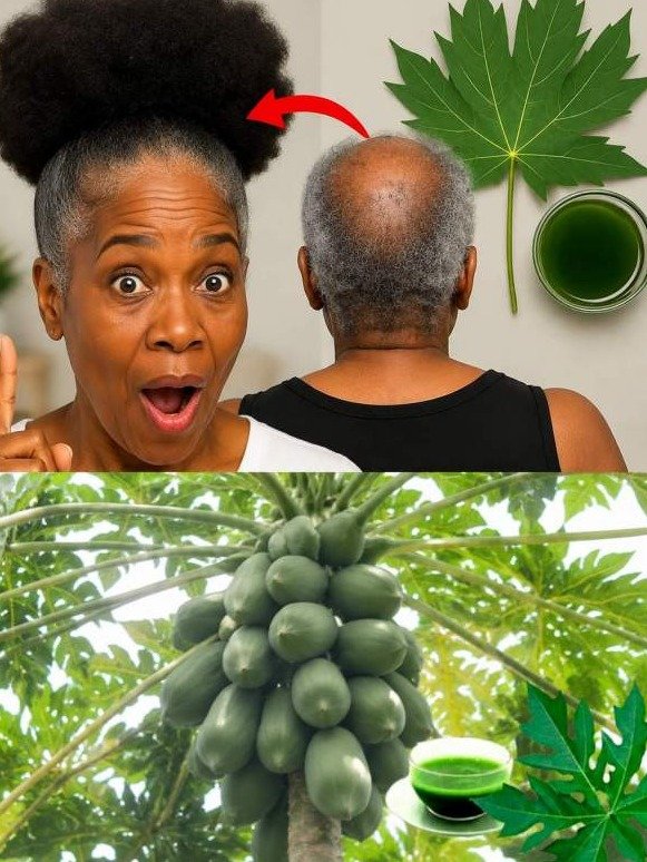 The Shocking Green Juice That Wakes Up Dormant Hair Roots & Stops Hair Fall Cold (The Secret No One Tells You!)