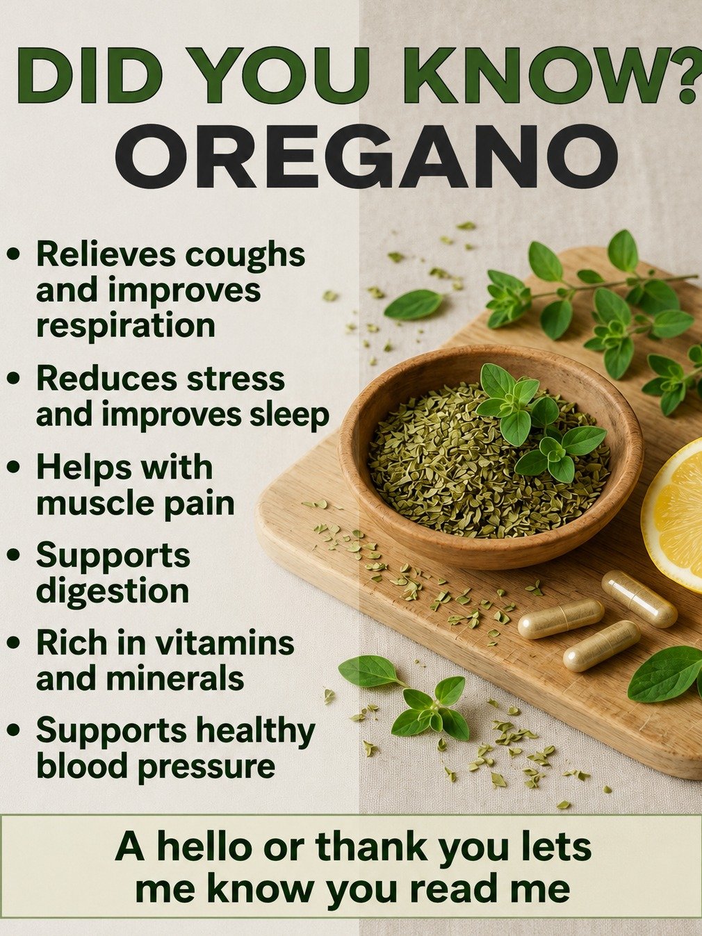 The Forgotten Plant That Could Revolutionize Your Health: 7 Reasons Why Cuban Oregano Belongs in Your Home!
