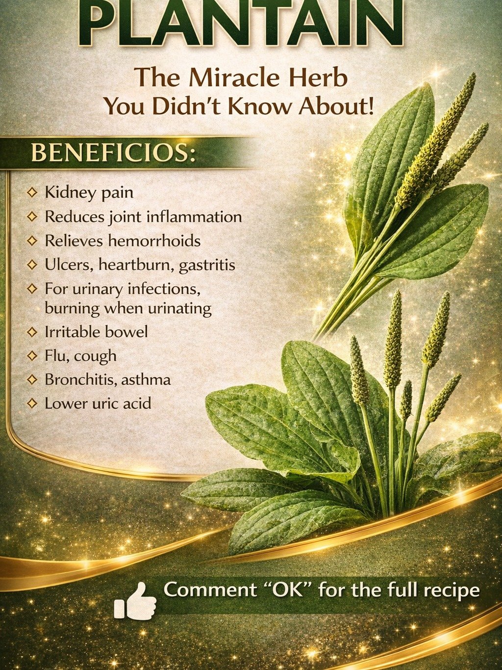The 'Weed' You're Stepping On Is a Medicinal Powerhouse: Uncover Plantain's 7 Secret Benefits for Lungs, Skin, and Immunity!