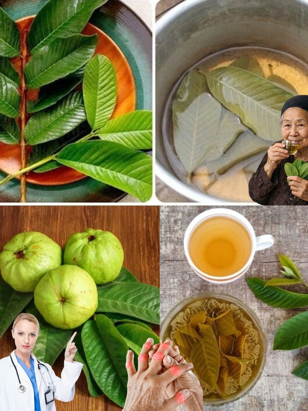The Ancient Secret Your Body Is Craving: 17 Mind-Blowing Benefits of Guava Leaf Tea (Plus a Simple Recipe!)