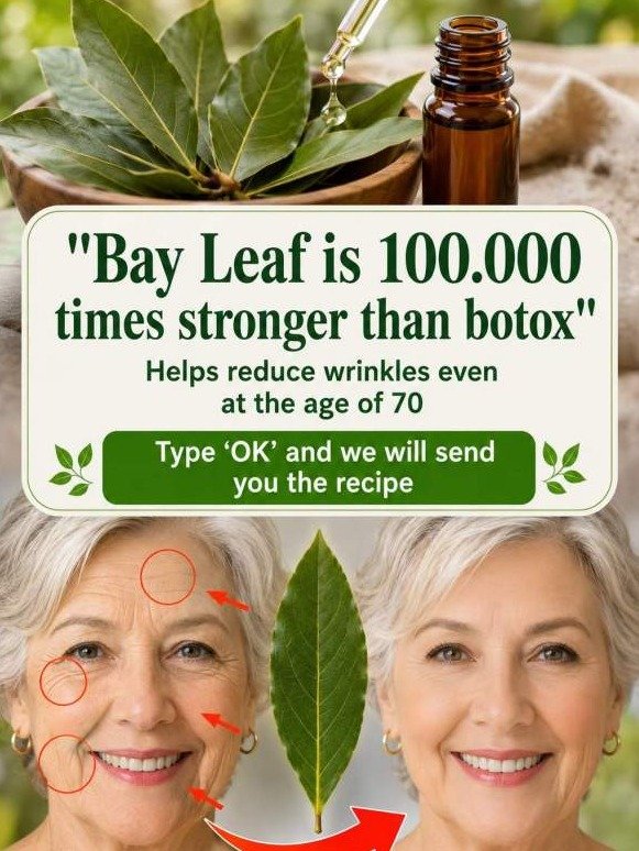 Wrinkle Eraser Hiding in Your Spice Rack? The Bay Leaf Secret Big Beauty Won't Tell You