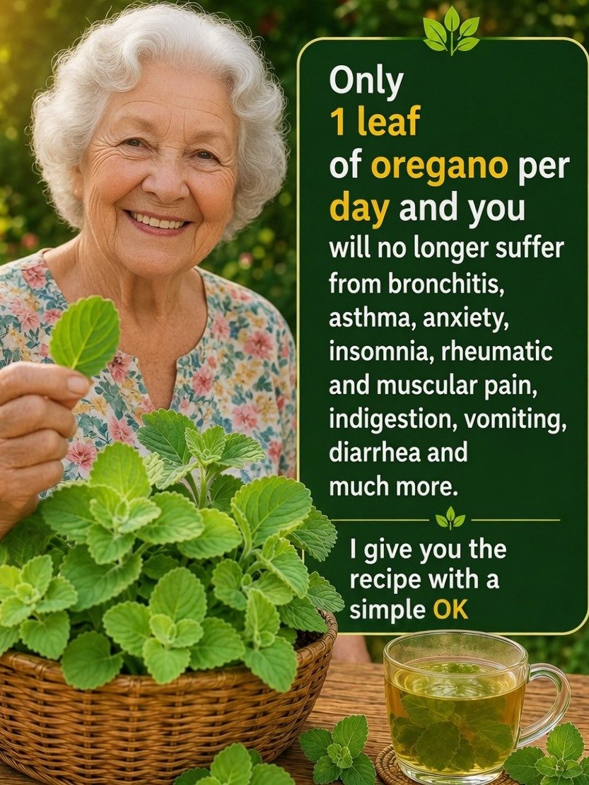 The Ancient Secret to Everyday Wellness You're Missing Out On: Cuban Oregano's Viral Tea Recipe Revealed!