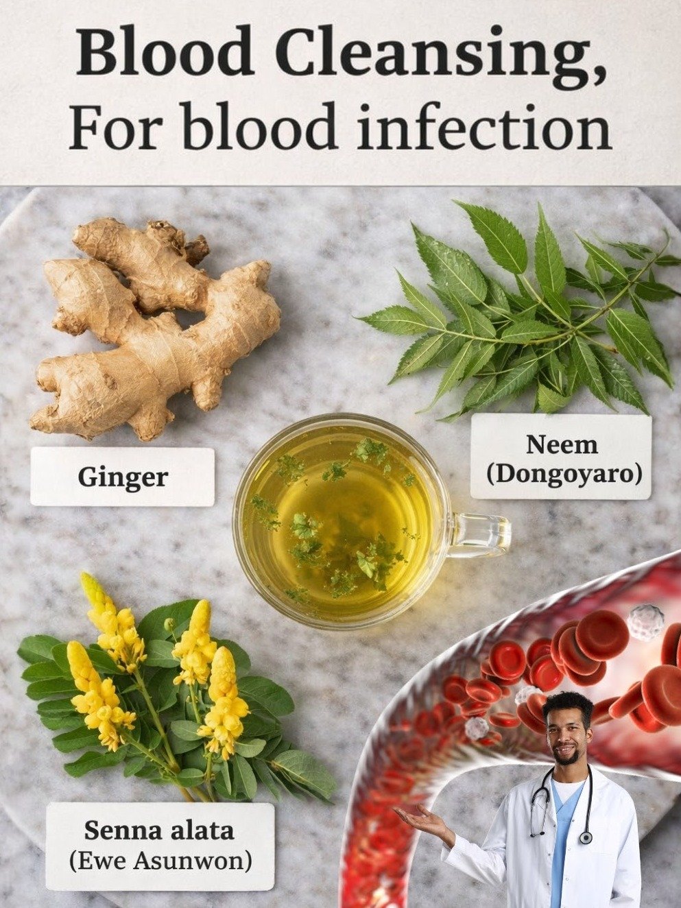 The Ancient Secret to Thriving Blood? Why Cultures Swear by Ginger, Garlic, and These 3 Powerhouse Plants!