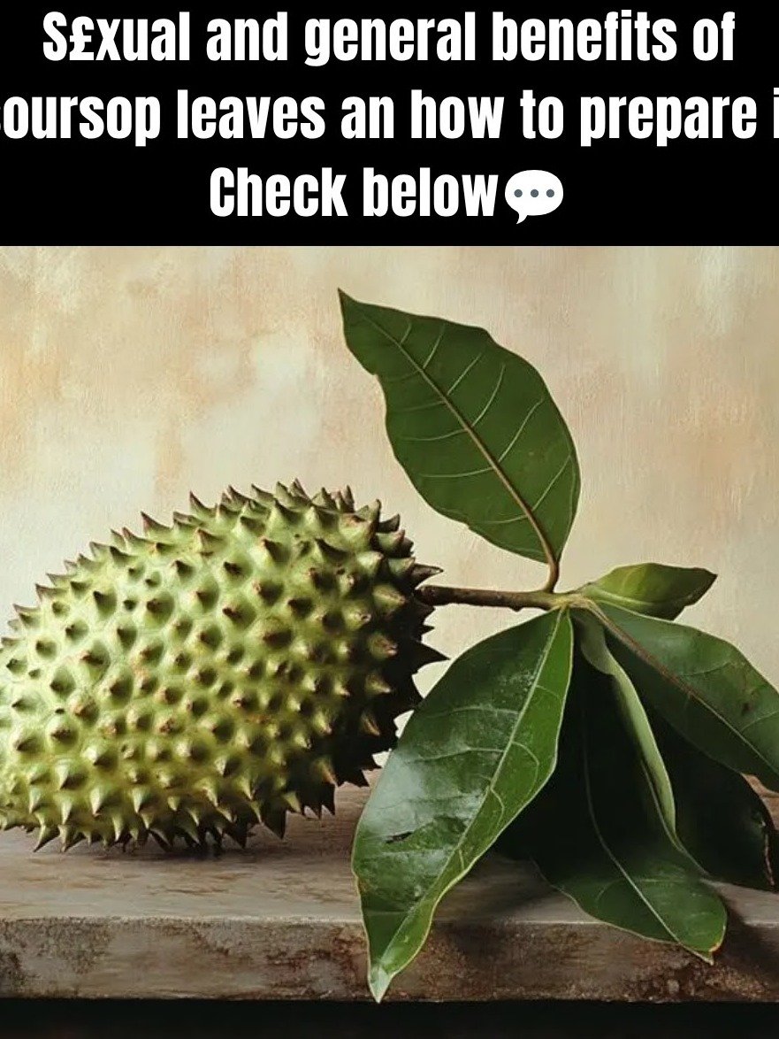 Unlock Ancient Secrets: 5 Soursop Leaf Hacks That Could Transform Your Daily Wellness