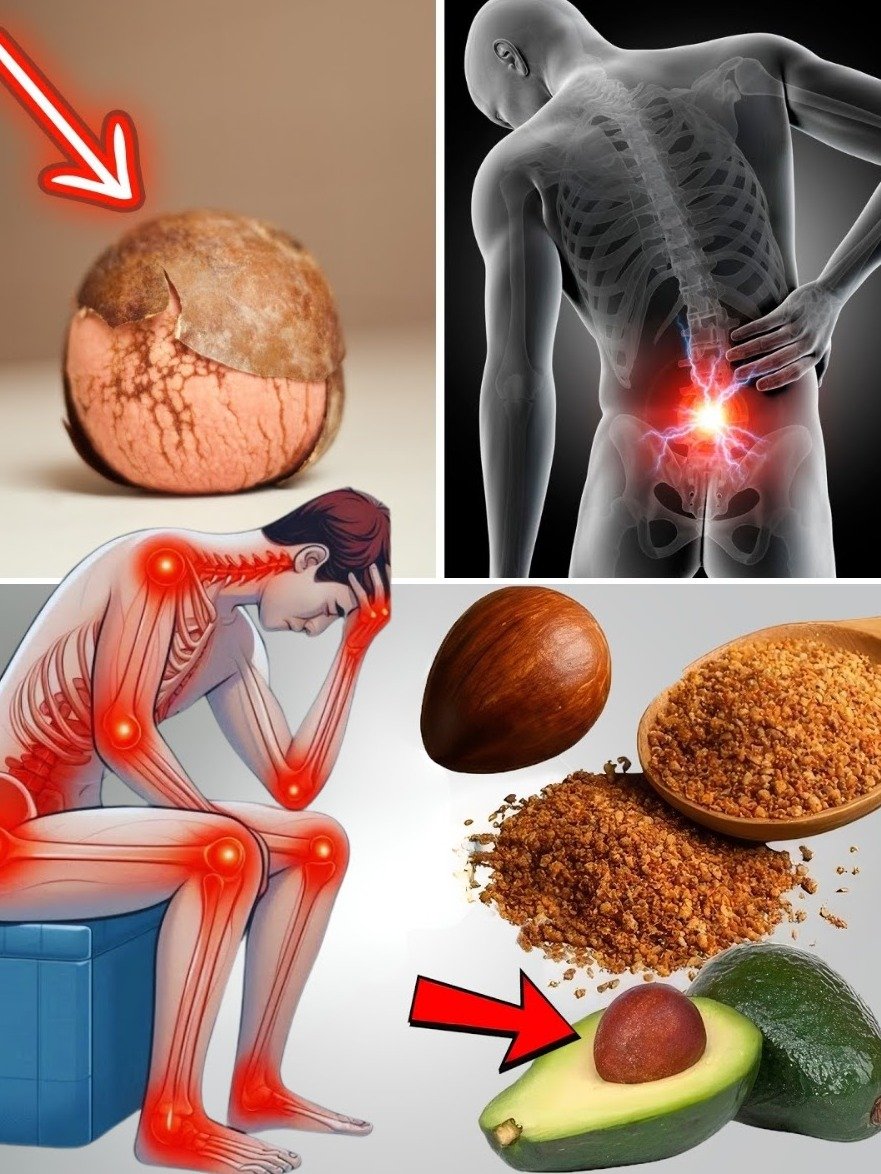 Stop Throwing Away Your Secret Weapon! This Avocado 'Waste' Could Be the Key to Erasing Your Joint & Back Pain
