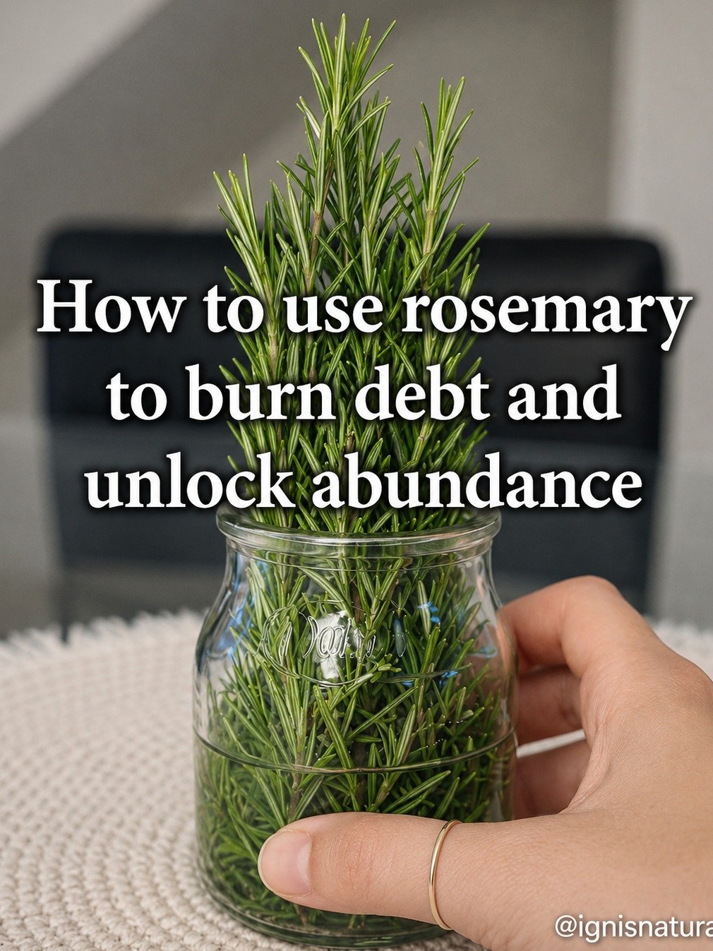 The Secret Herb Everyone's Using to Attract Abundance & Tackle Debt (You'll Wish You Knew Sooner!)
