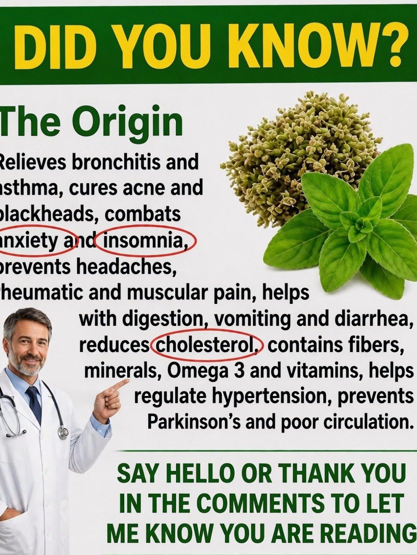STOP Scrolling! The Everyday Plant in Your Home Could Be a Wellness Game-Changer – Here's Why You Need to Know!