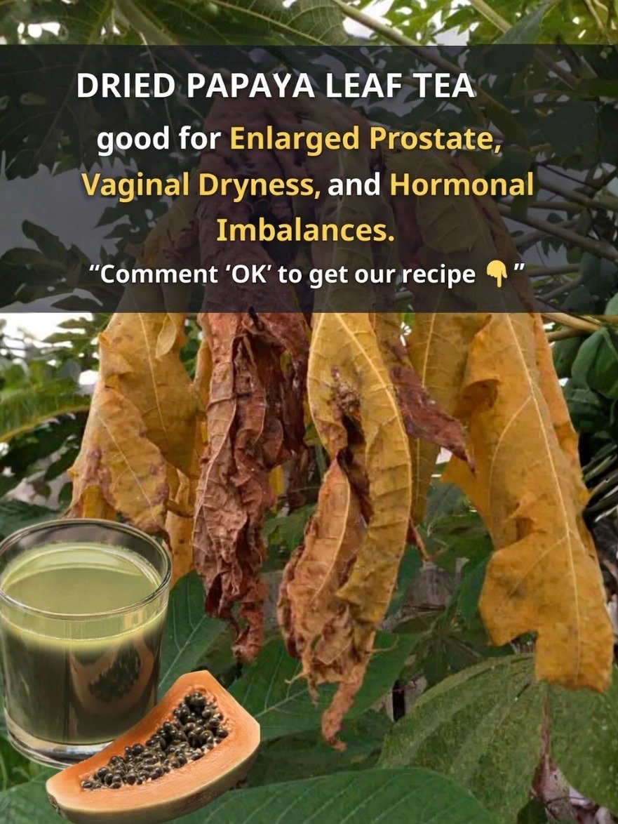 Unlock Nature's Secret: The 5 Incredible Ways Papaya Leaf Tea Can Transform Your Health (Don't Miss Out!)