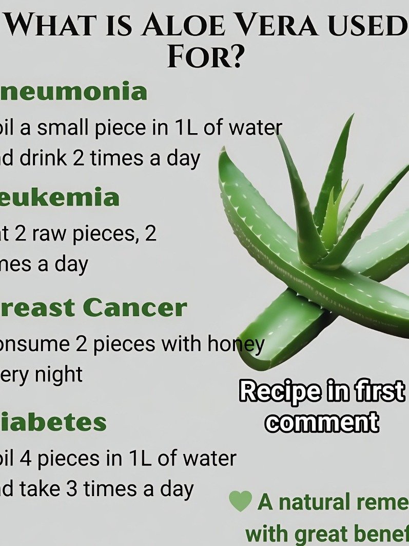 Unlock Nature's Pharmacy: 16 Surprising Ways Aloe Vera Can Revolutionize Your Wellness