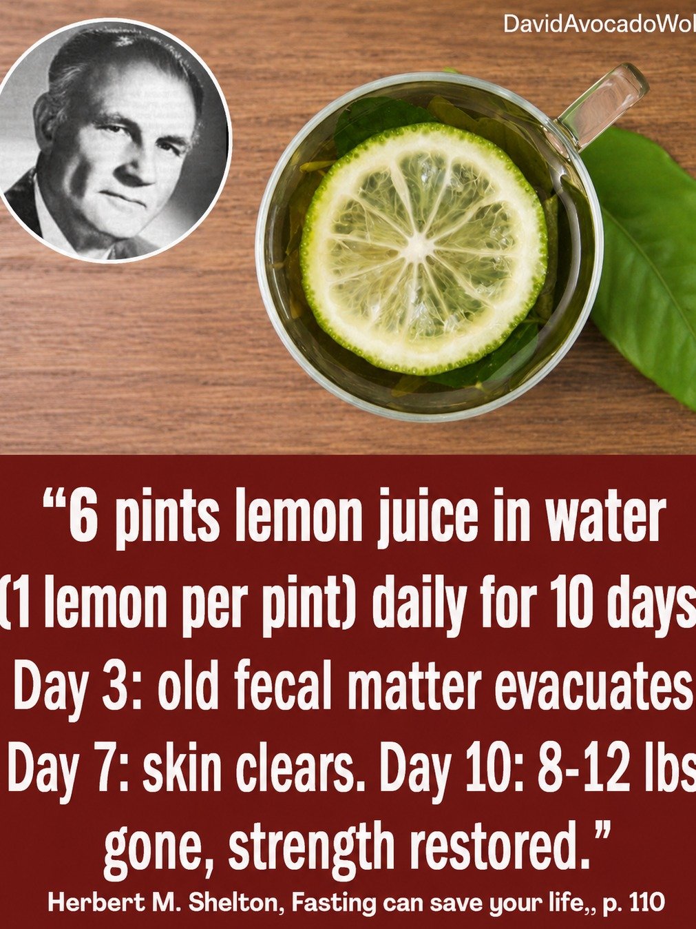 The 10-Day Lemon Water Detox: What *Really* Happens Inside Your Body (Don't Start Without Reading This!)