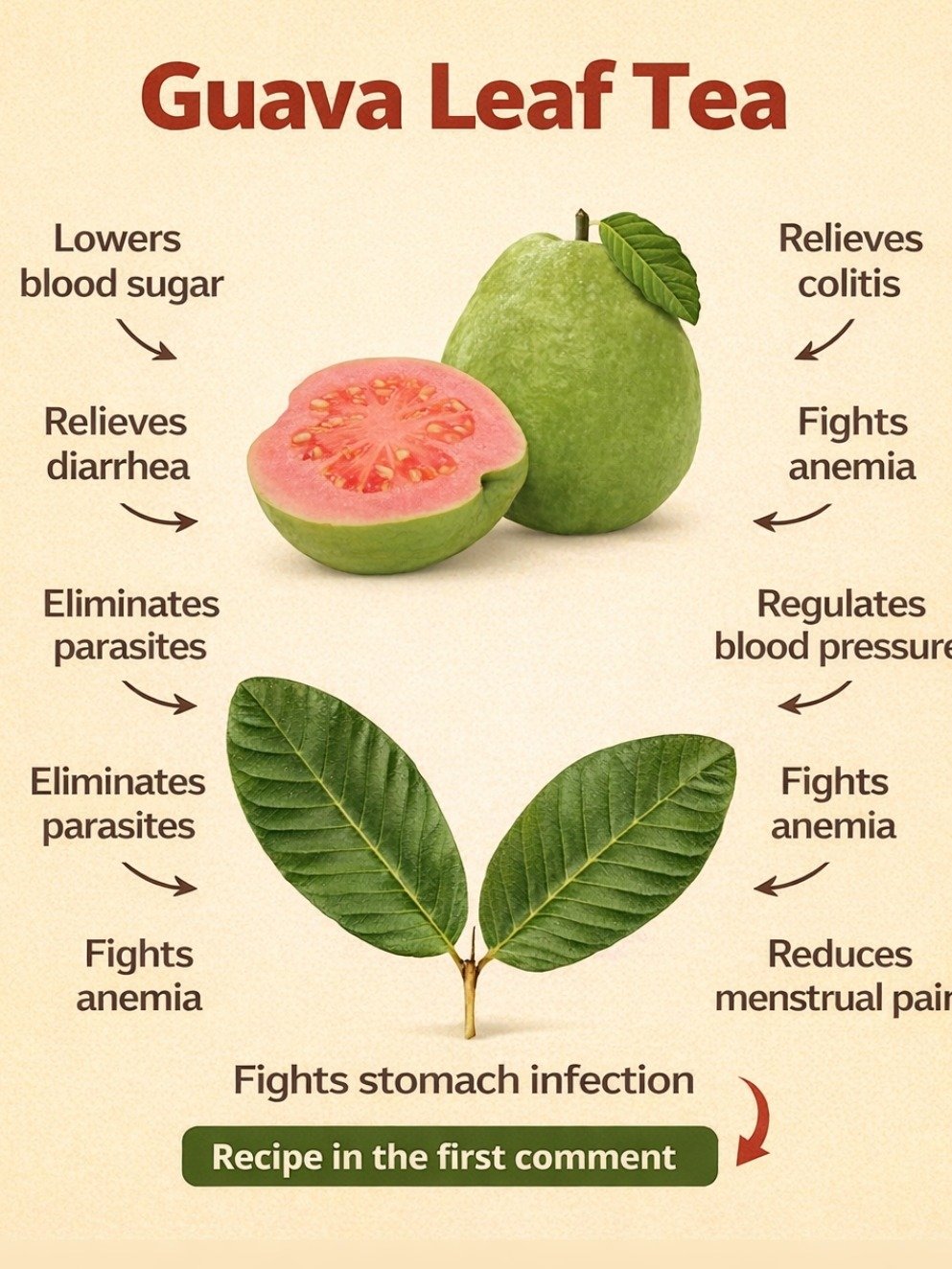 Unlock the Ancient Secret: Why Guava Leaf Tea Is the Wellness Elixir You've Been Missing!