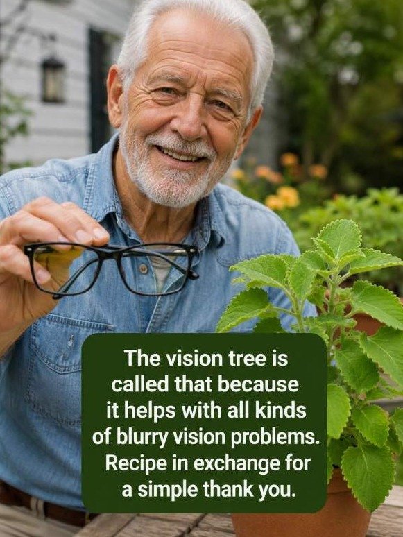 The 'Vision Tree' Secret: Why This Backyard Leaf Could Be the Key to Ditching Your Blurry Vision for Good