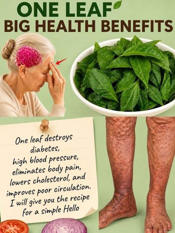 The ONE Overlooked Leaf That Could REVOLUTIONIZE Your Blood Sugar, Pressure, and Circulation (Don't Miss This!)