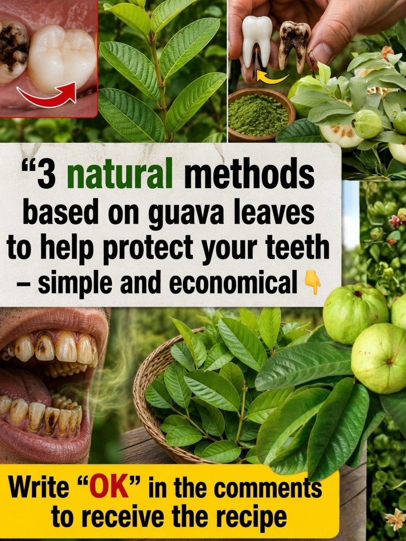 Unlock a Brighter Smile: 3 Shockingly Simple Guava Leaf Hacks to Naturally Beat Tooth Decay & Freshen Breath!