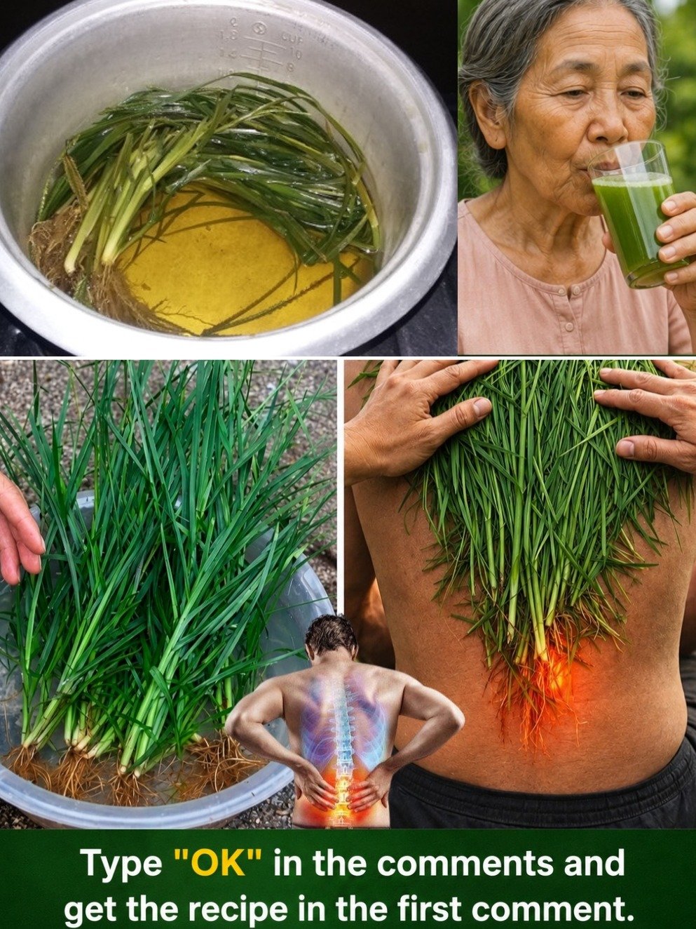 Unlock 25 Shocking Health Secrets of Cleavers: The 'Sticky Weed' You've Been Ignoring (Until Now!)