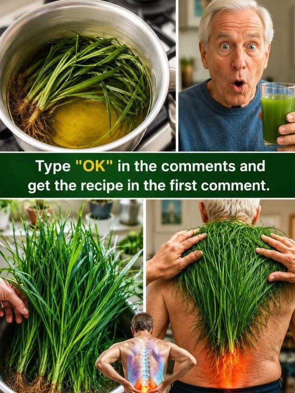 Shocking Secret: This 'Weed' Instantly Drains Back Pain & Swelling You Thought Was Permanent!