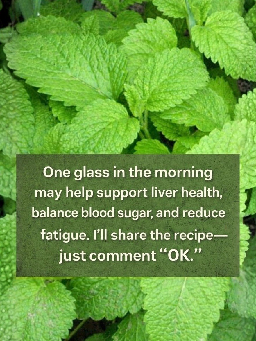 Unlock Your Body's Secret Weapon: The Mint & Lemon Combo You NEED to Try Today!