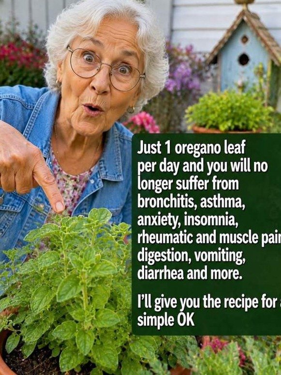 The Unbelievable Secret of ONE Oregano Leaf: Why It Triggers a FULL Body 'Flush' You've Never Felt Before