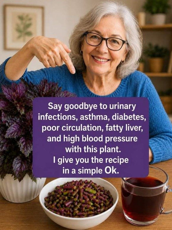 The ONE Purple Leaf You're Missing: How This Garden Secret Triggers a FULL Body 'Rust-Strip' for Your Blood, Liver & Bladder!