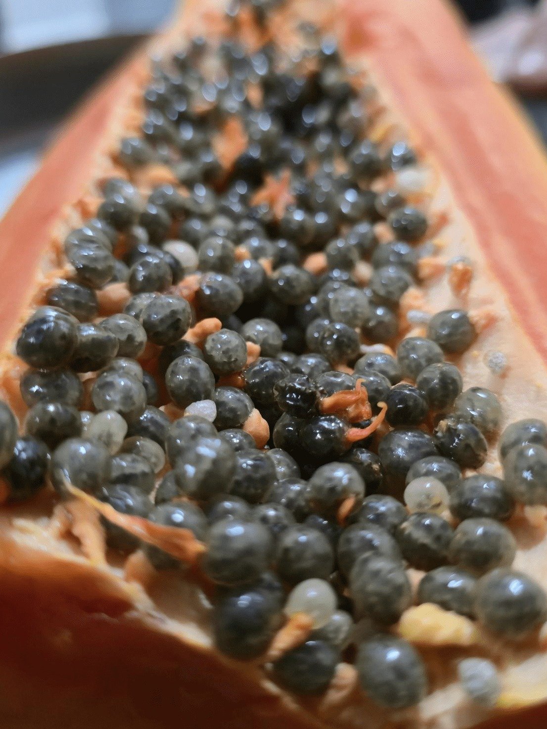 STOP Throwing Away Your Papaya Seeds! This Simple Home Hack Could Transform Your Joint Comfort