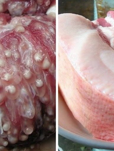 STOP! Are You Eating These 6 Dangerous Pork Parts? What Experts Say You MUST AVOID for Your Health!