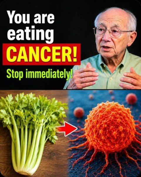 UNCOVERED: The 5 'Harmless' Foods Secretly Feeding Cancer Cells (And Why You Need to Quit Them NOW)