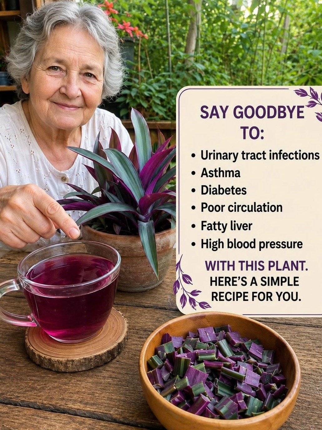 STOP SCROLLING! This Ancient Desert Plant Holds The Key To Unlocking Your BEST Digestion & Immunity – Don't Miss Out!