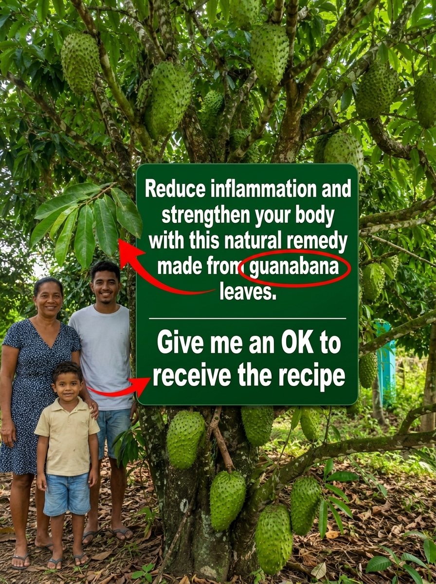 The Ancient Tropical Secret: Why Soursop Leaf Tea Could Be Your New Wellness Obsession!