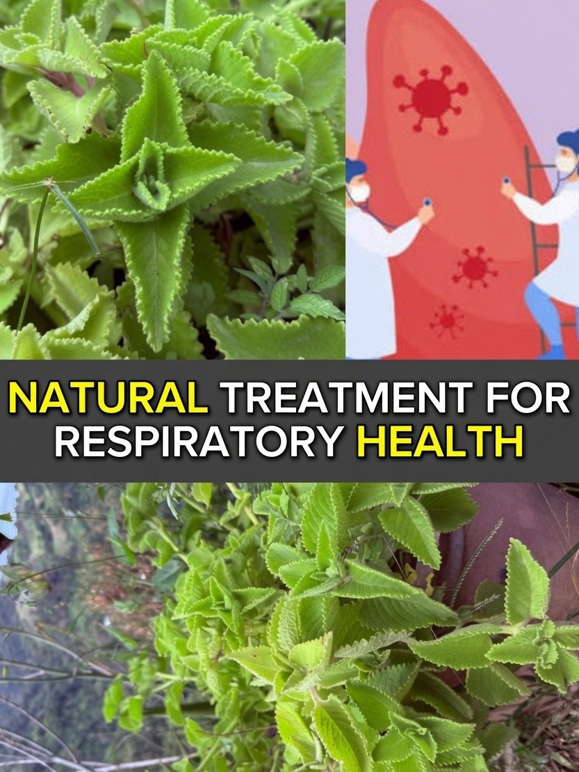 The ONE Herbal Tea Secret You NEED to Know for Ultimate Respiratory Wellness (Plus a Simple Recipe!)