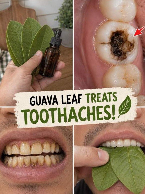 The SHOCKING Truth: How ONE Leaf Can Trigger A Full Mouth Reset, Zapping Tooth Decay & Pain!