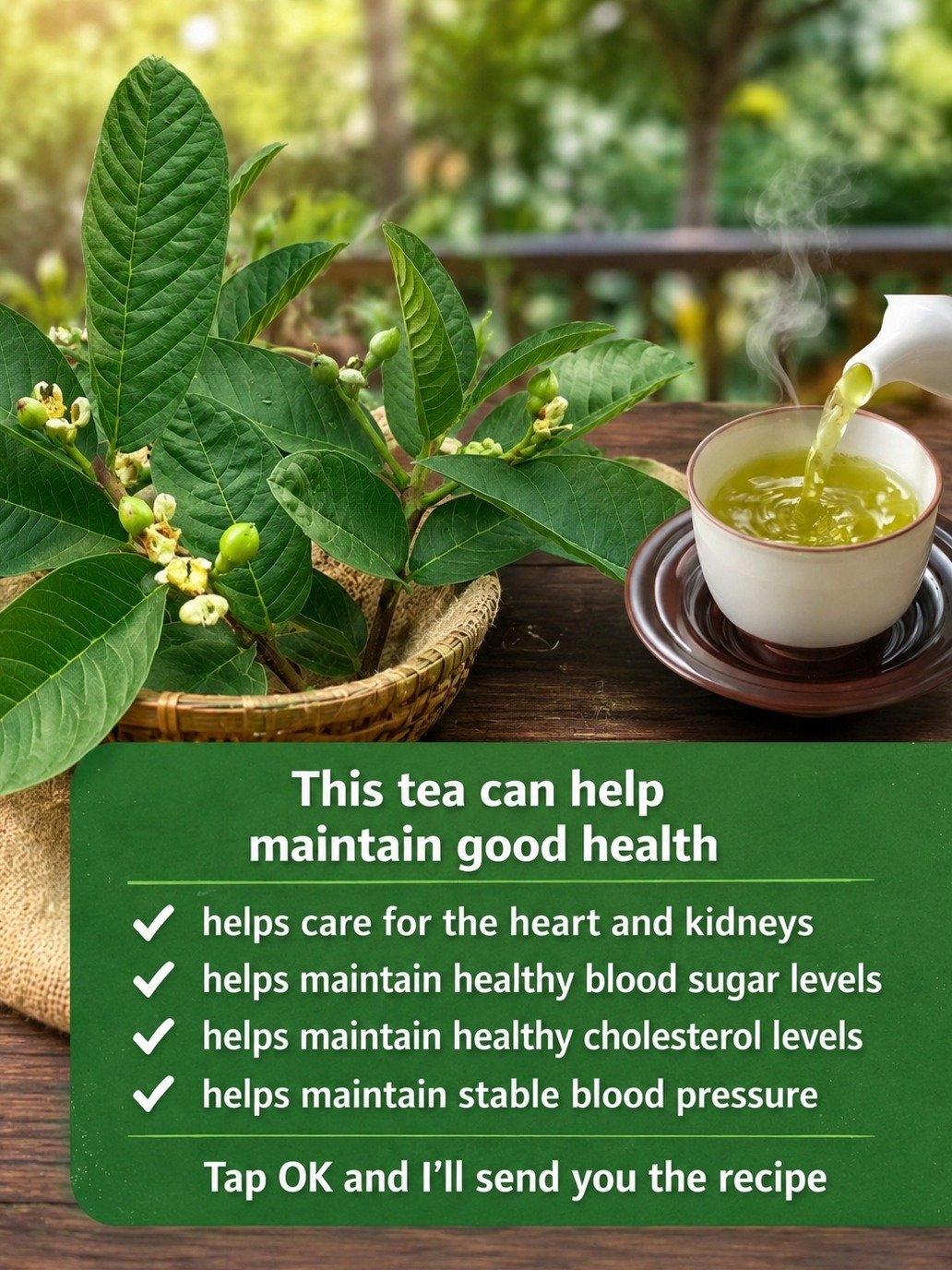 THIS Hidden Leaf Could Be Your Wellness Secret Weapon: 10 Shocking Benefits of Guava Leaf Tea & The Viral Recipe You Can't Afford to Miss! 🌿🍵