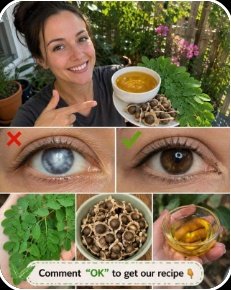 The Tiny Seed That Triggers a Full-Body Reset (And Why Big Pharma Hopes You Never Discover It)