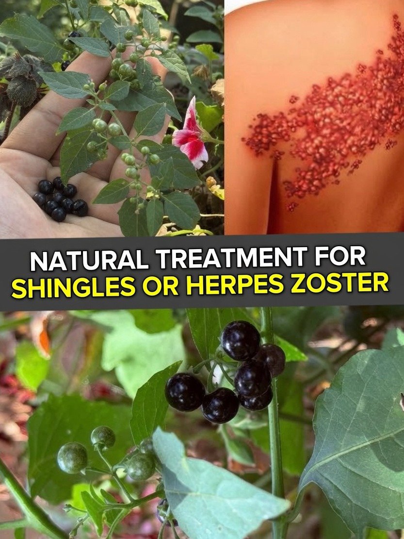 Unlock Nature's Secret: The Ancient Black Nightshade Remedy for Skin You NEED to Know (But Beware This Crucial Warning!)
