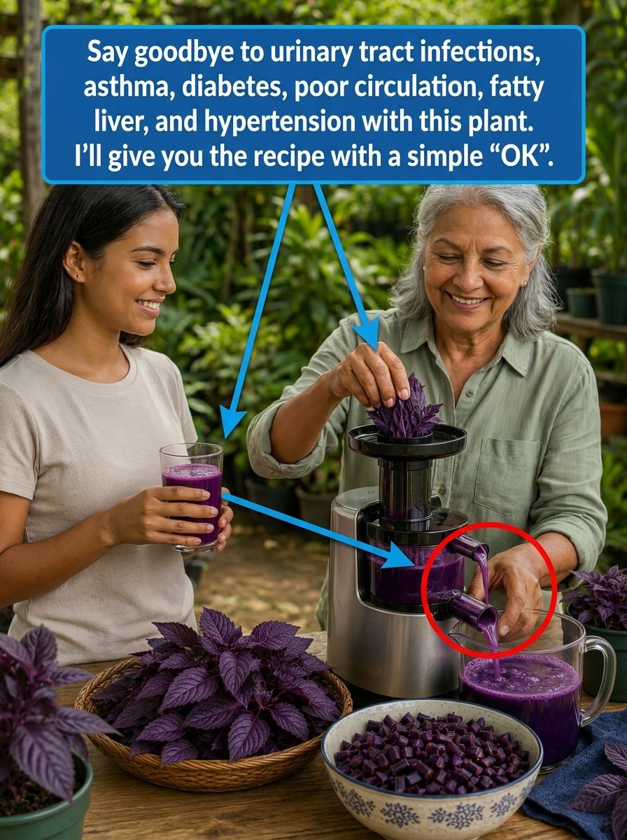 The Viral Purple Plant: The Shocking Truth Social Media WON'T Tell You About Its 'Miracle' Claims