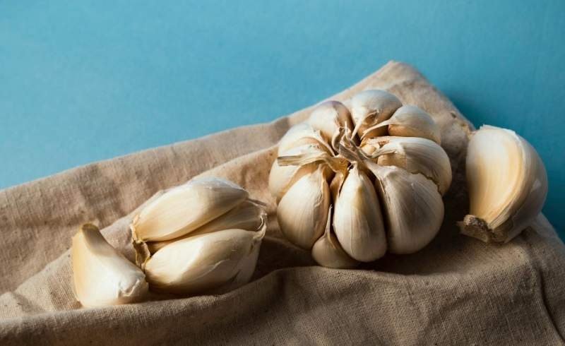 The Shocking Garlic Secret: What Viral Posts WON'T Tell You About Its Microbe-Killing Power (And How to Use It Right!)