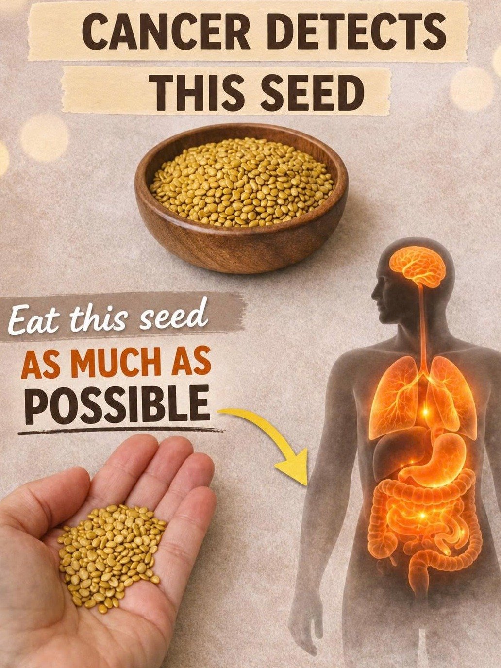 Don't Miss Out: 6 Tiny Seeds That Are Your Secret Weapon for Thriving After 45!