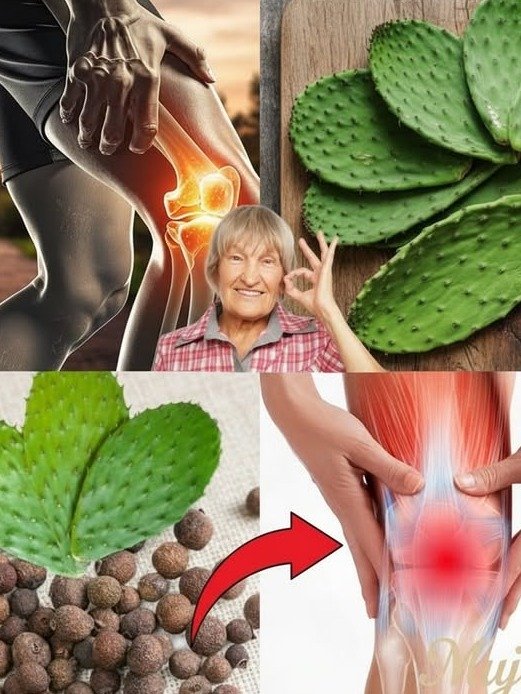 Revealed: The Ancient Desert Secret That Will Transform Your Joints, Erase Inflammation, and Fortify Your Bones!