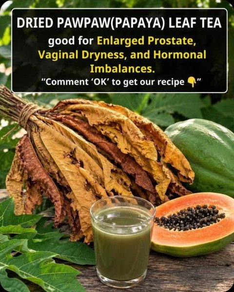 The Hidden Truth About Papaya Leaf Tea: Why It's The Secret Weapon for Your Prostate, Vaginal Health, and Hormones