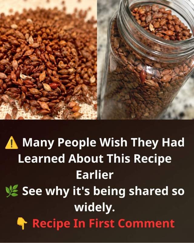 The Shocking Truth: What Happens *Moments* After You Chew an Apple Seed (And Why You Need to Know NOW)