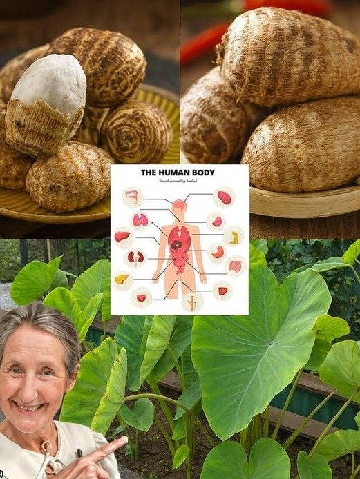 Forget Everything You Knew About Healthy Eating: 8 Jaw-Dropping Benefits of Taro Root You're Missing Out On!