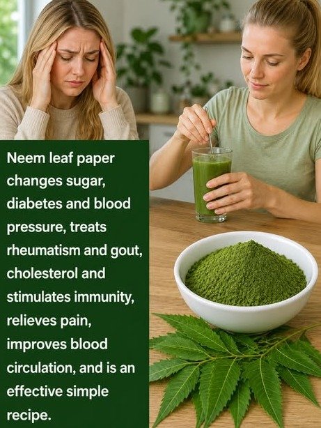 The Ancient Secret Everyone's Raving About: How Neem Leaves Can Transform Your Health & Skin (You Need This!)