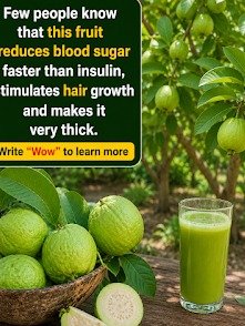 The Tropical Secret Experts Are Raving About: 5 Reasons Guava Could Transform Your Health & Beauty!