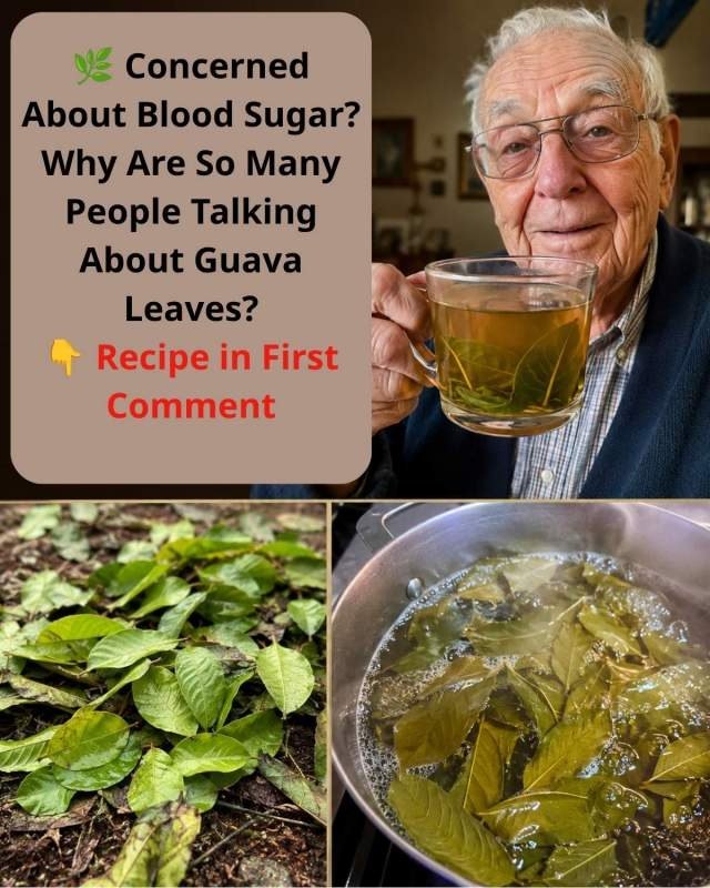 The Shocking Secret of Guava Leaves: This Simple Tea Can REVOLUTIONIZE Your Blood Sugar (Don't Miss Out!)